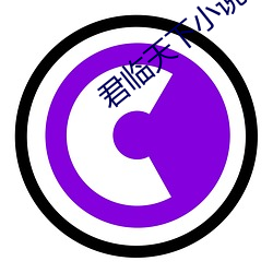 君臨天下小說