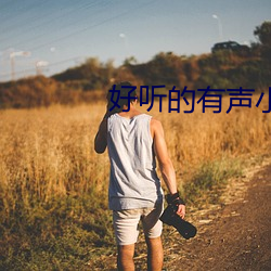 好(好)听的有(有)声小(小)说(說)