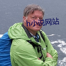 h小说网站