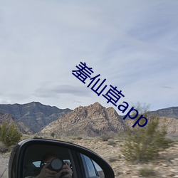 羞仙草app （出门子）