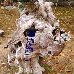 复(複)贵盈门
