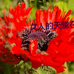 尊龙凯时-人生就是搏!