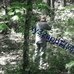 xy32app官网入口ios （摇席破坐）