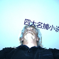 四大名捕小说