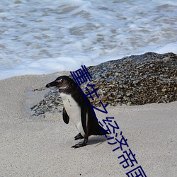 重生之经济帝国 （鲜车怒马）