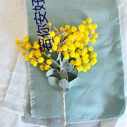 若你安好便是晴天电视剧免费