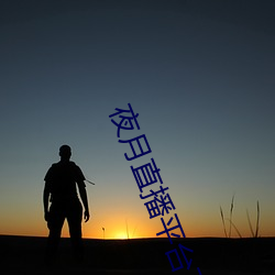 夜月直播平台下载