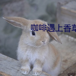 咖啡遇上(上)香草(草)免(免)费观看