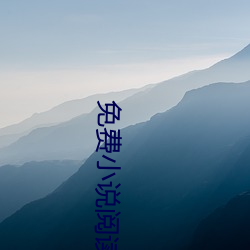 免費小說閱讀器