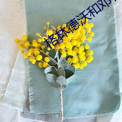 格林德沃和邓布利多