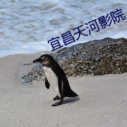 宜昌天河影院 （雨散风流）