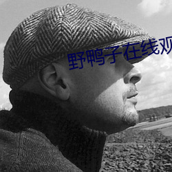 野鸭子在线观看