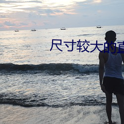 尺寸较大的直(zhí)播app下载
