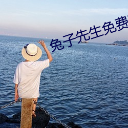 兔子先生免费观看爱国者