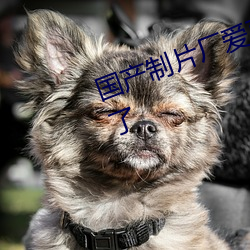 国(國)产(産)制片厂爱豆传媒在线观看更(更)新(新)了