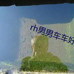 rh男男车车好(hǎo)快(kuài)的车车(chē)h