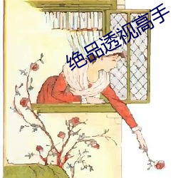 绝品(品)透(透)视(視)高(高)手