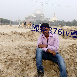 绿茶376tv直播入口