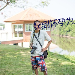 《c到(到)怀(懷)孕为止》无删