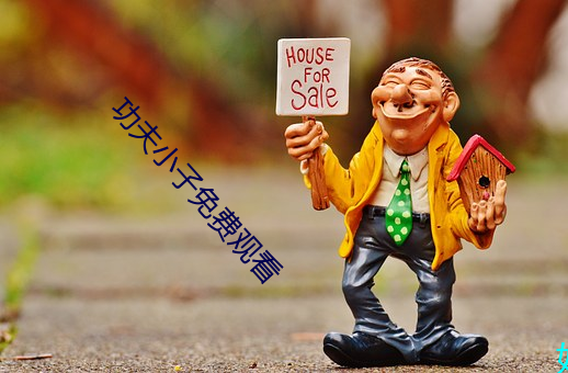 功夫小費觀看