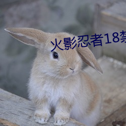火影忍者18禁