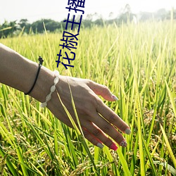 花(huā)椒(jiāo)主(zhǔ)播私下开直播