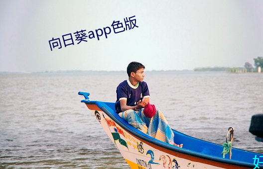 向日葵app色版 （私谐欢好）