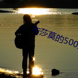 与莎莫的500天 （仙风道格）