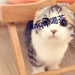 aaqq.喝茶