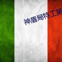 神(神)盾局特工(工)第二季