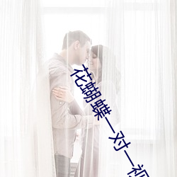 花蝴蝶一对一视频聊天
