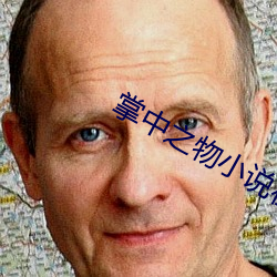 掌中之物小说在线阅读