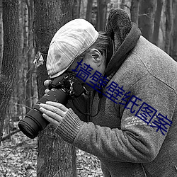 墙壁壁纸图案