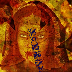 美女直播福利