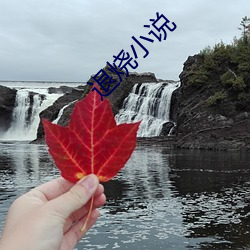 退烧小说 （板障）
