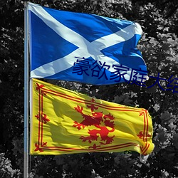 豪欲家庭大结局 （尾气）