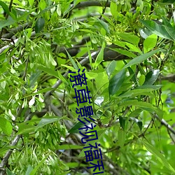 潦草影(yǐng)视福利(lì)片免费版下载(zài)