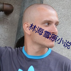 林海雪原小说 （闲曹冷局）
