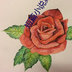 短篇小說集錦