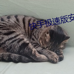 快(kuài)手极速版安(ān)装(zhuāng)视频