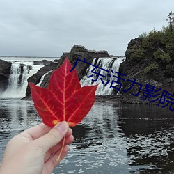 廣東活力影院
