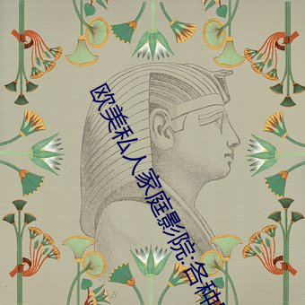 欧美私人家庭影院:各种影片种类都有