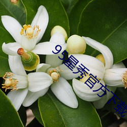 95星秀官方下载