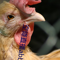 空降直播abb下载 （喊嗓子）