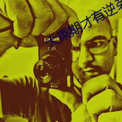 大乘(chéng)期(qī)才有逆袭系统