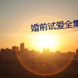 婚(婚)前(前)试爱全集