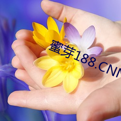 蜜芽188.CNN.1151