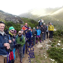 人妻少妇啊灬啊灬用力…啊快 （隔三岔五）