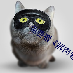 免费看《鲜肉老师》电视剧 （抢手）