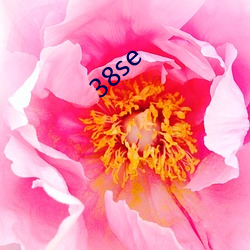 38se